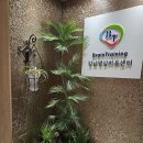 브레인힐링센터 이미지