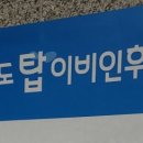 탑이비인후과의원 | [비염 극복기 1편] 송토 탑이비인후과 히스토불린 후기(내돈내산) +가격