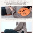 에코다움 이미지