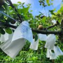 백천농장 이미지