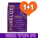 펫 로드스타 컴퍼니 이미지