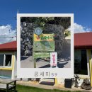 남원읍-59 | 제주 서귀포 남원여행 점심추천 공새미59 보말칼국수와 해물파전후기