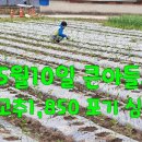 웃말농장 이미지