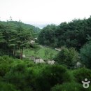 국립 칠보산자연휴양림 티스토리