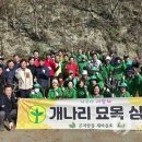 개나리마을 이미지