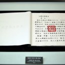 플레이티카 이미지