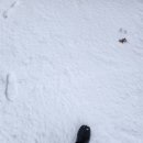 작심삼일 이미지