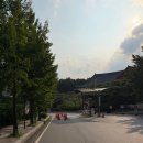 주공체육관 | 레드벨벳 팬 콘서트 첫날 다녀와서 신곡 서핀보이 선공개 들어본 후기