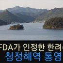 자연산회통영붕장어 이미지