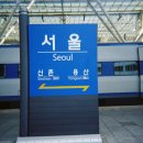 미도칼라 이미지