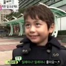 새롬유치원 Daum카페