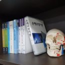 (유)현명석재산업 | 교통사고로 사람을 죽였다면 교도소 가나요? 보험처리는 되나요? 운전자보험 혜택은요?