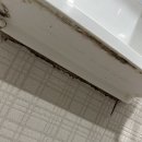 박사몰 | 인천 연수구 송도동 롯데몰 송도 캐슬파크 오피스텔 입주청소 후기