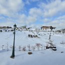 품속농장 이미지