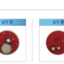 솔향기어린이집 이미지