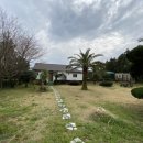 제주타이펜션 이미지