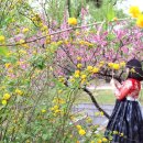 사랑의 열쇠 이미지