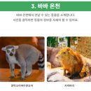 영등포키즈 이미지