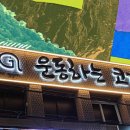 운동하는코끼리 이미지