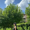 퍼니멍멍 이미지