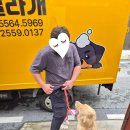 허벌라개 이미지