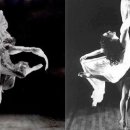 맥아더통상 이미지