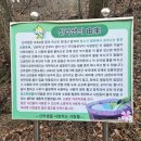 신라샘2 네이버블로그