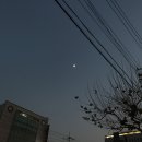 엘모먼트 이미지