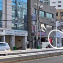 슬가플라워 | [부산 동래] 온천장 꽃집 추천 하브플라워(Havu Flower) 촬영용 부케 픽업후기