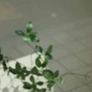 유니네일 이미지