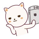 점*위*