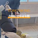 하버드앵무새카페 이미지