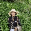 제일여행 Daum카페