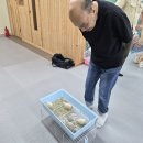 7월 31일 동물매개치료- 카나리아, 콜덕, 매추리, 망둥이 이미지