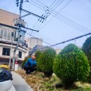 늘푸른공간 이미지