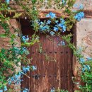 나른한 오후의 목욕 이미지