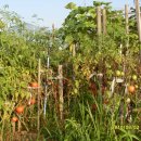 웰빙농장 이미지