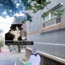 유경세탁소 이미지