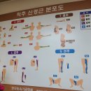한국활법교정원 네이버블로그