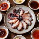 199 | [송죽동포차199] "문어 빨판 힘이 이 정도?" 여수 바다를 수조에 통째로 옮겼습니다!