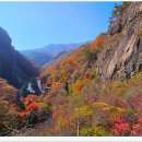 강천산군립공원 이미지