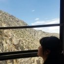 에이리얼 카카오 검색결과