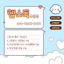 실버푸들분양 미니말티즈분양 말티즈입양 시츄분양 시츄입양 말티푸분양 말티푸입양 이미지