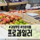 프로과일러