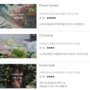 루엘디 차량용방향제 자연스럽게 향 나는 걸이방향제 후기