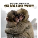 그린원라이프