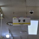 대도의류 이미지