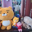 고양시 구제거리 가게들 둘러보고오기 (가격표 있는곳)