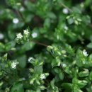 해파랑길 4코스 이미지