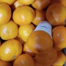 범이농장 이미지